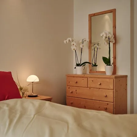 Brunner 1 וונגן