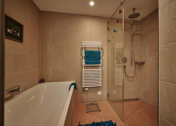 Brunner 1 アパート ヴェンゲン